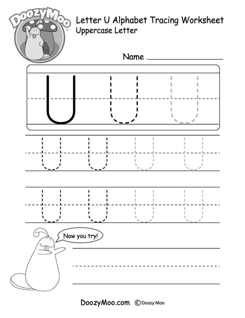 Lowercase Letter u Tracing Worksheet Doozy Moo